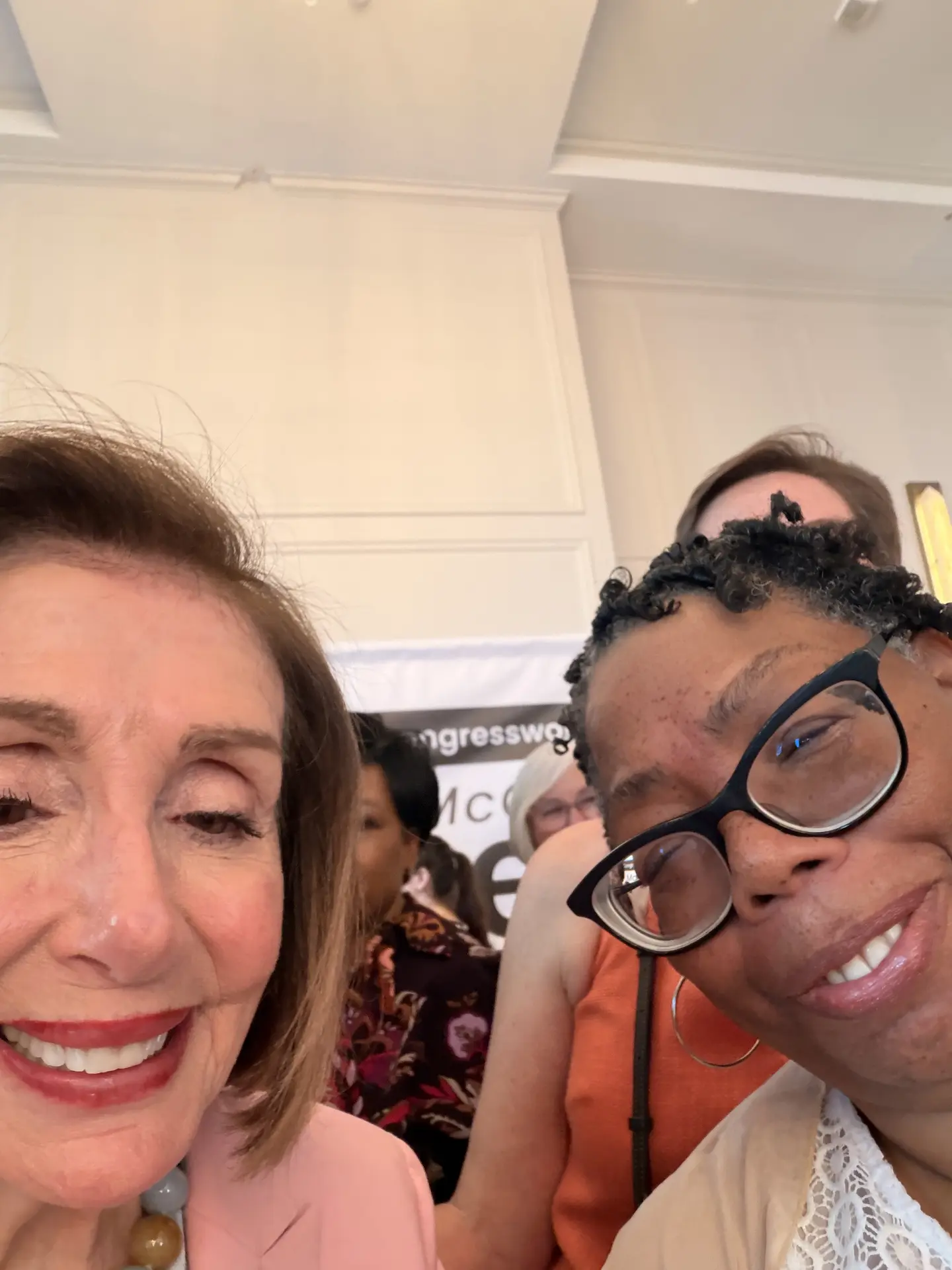 Teri Pailen and Nancy Pelosi smiling together for a selfie.